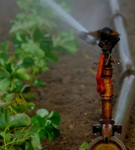 imgi_6_image-01-ok9t8tqfmw86q6a5qjwdw95uon8m0ro8dme893gop4